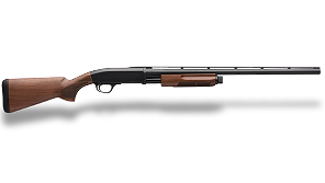 shotguns transparent