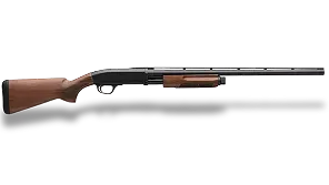 Home Page 4 shotguns transparent
